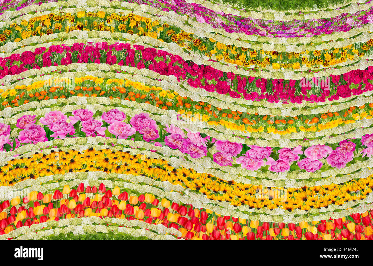 Natura onde floreali fantastico sfondo di fiori d'estate. Abstract collage fatti a mano Foto Stock