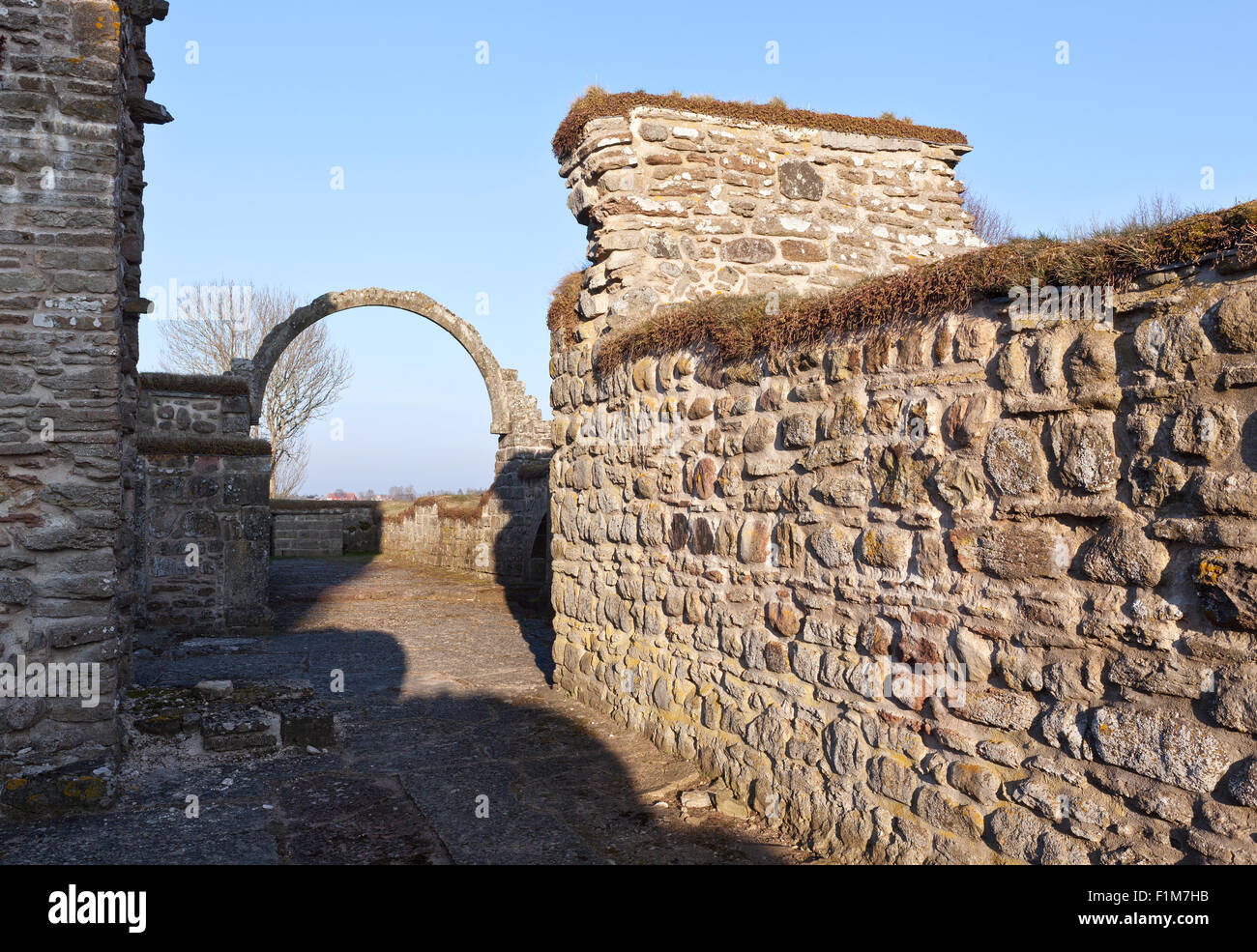 Rovine del monastero Gudhem, Abbazia, Svezia. Gli antichi edifici sui terreni agricoli, la pianura nella sera illuminata. Fondata 1152 A.D. Foto Stock