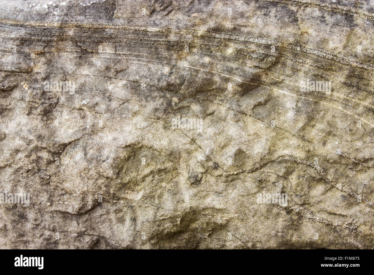 Struttura di una lastra di pietra di marmo Foto Stock