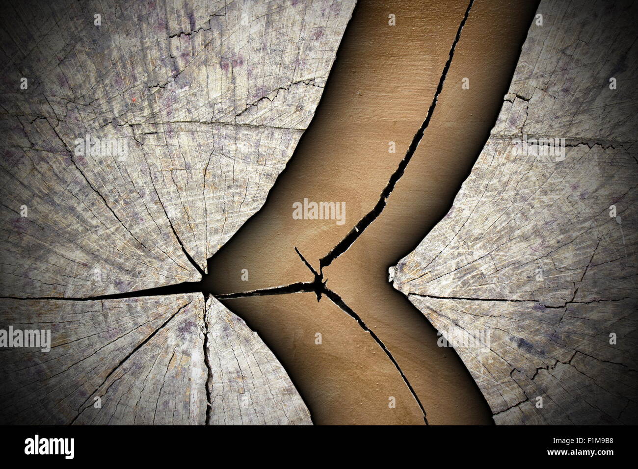 Albero rotto moncone texture astratta Foto Stock Albero rotto moncone texture astratta Foto Stock