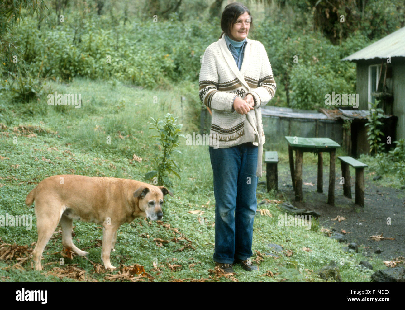 Diian Fossey suona presso il Karisoke Research Center. Ruanda Africa Foto Stock