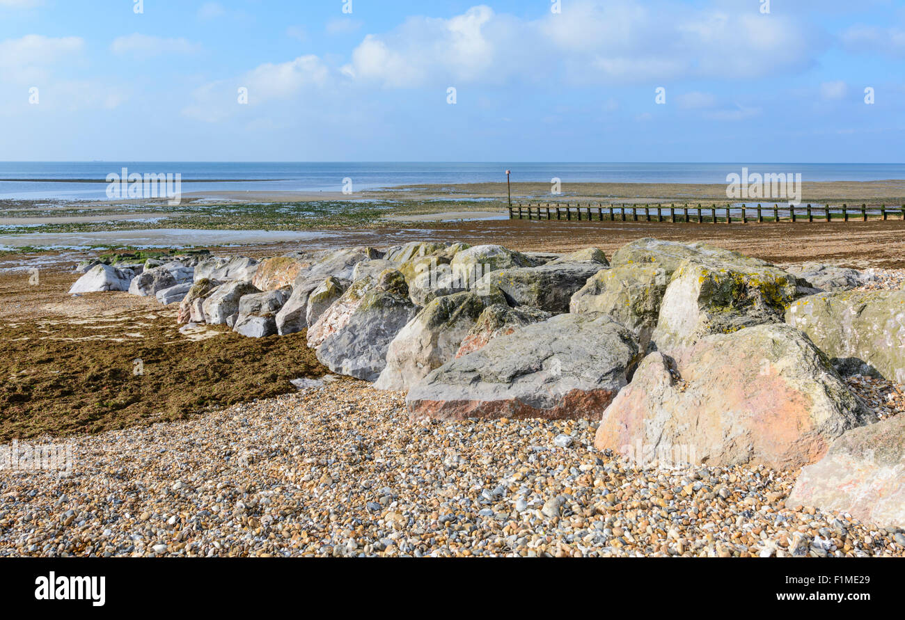 Grandi rocce su una spiaggia di ghiaia a bassa marea, con molte alghe, sulla costa meridionale di Rustington, West Sussex, Inghilterra, Regno Unito. Foto Stock