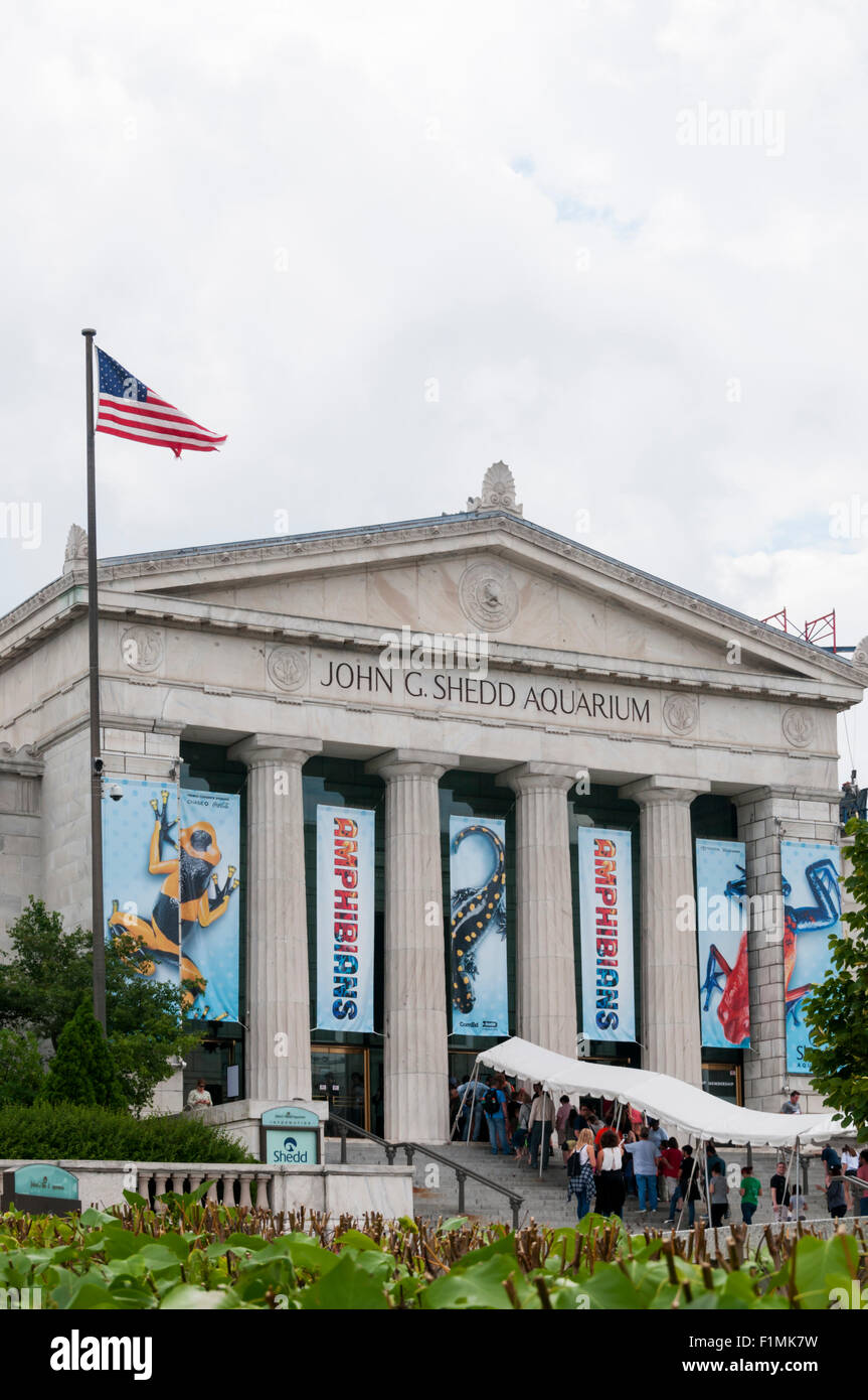Coda per entrare John G. Shedd Aquarium di Grant Park di Chicago. Foto Stock