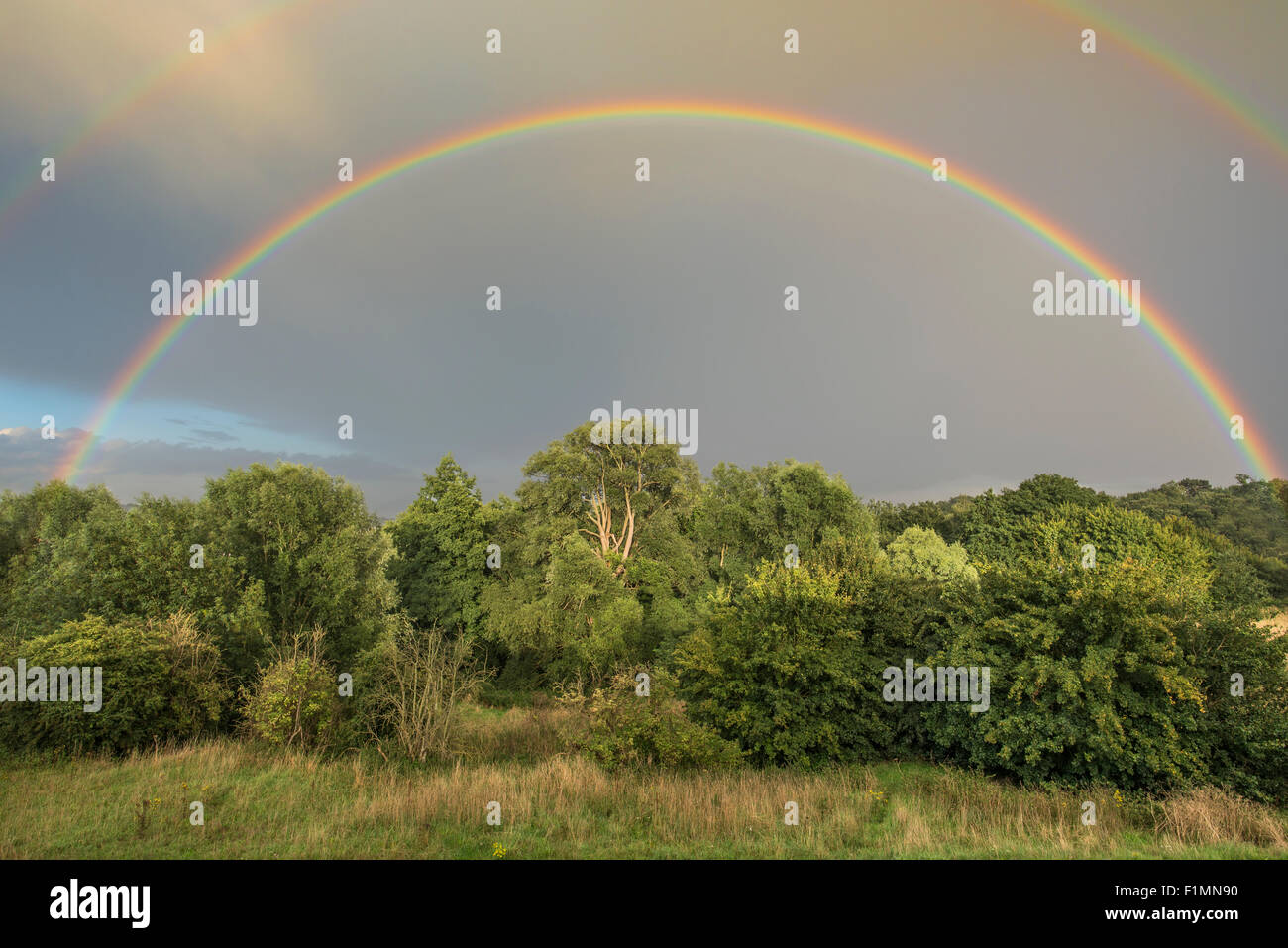 Doppio arcobaleno che abbracciano un bosco di sera vista Foto Stock