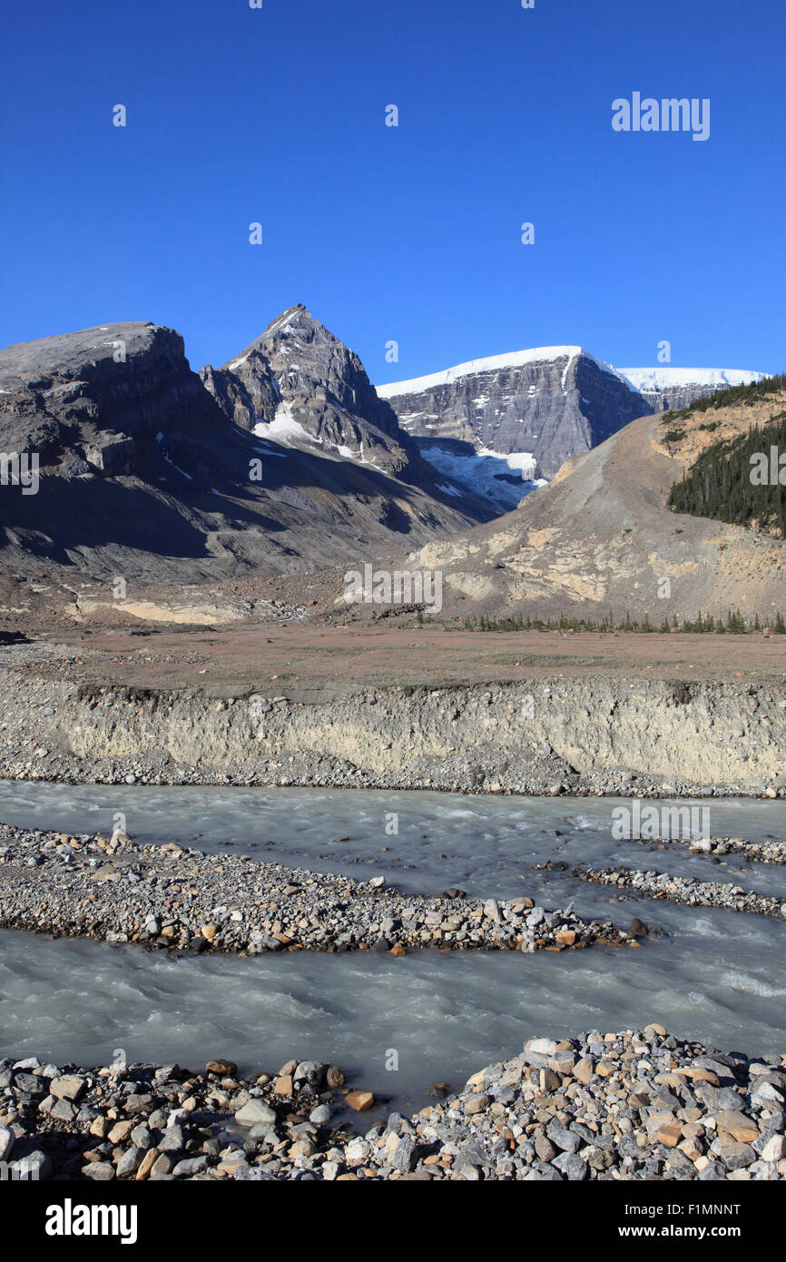 Canada, Alberta, Jasper National Park, Columbia Icefield, ghiacciaio, flusso, Foto Stock