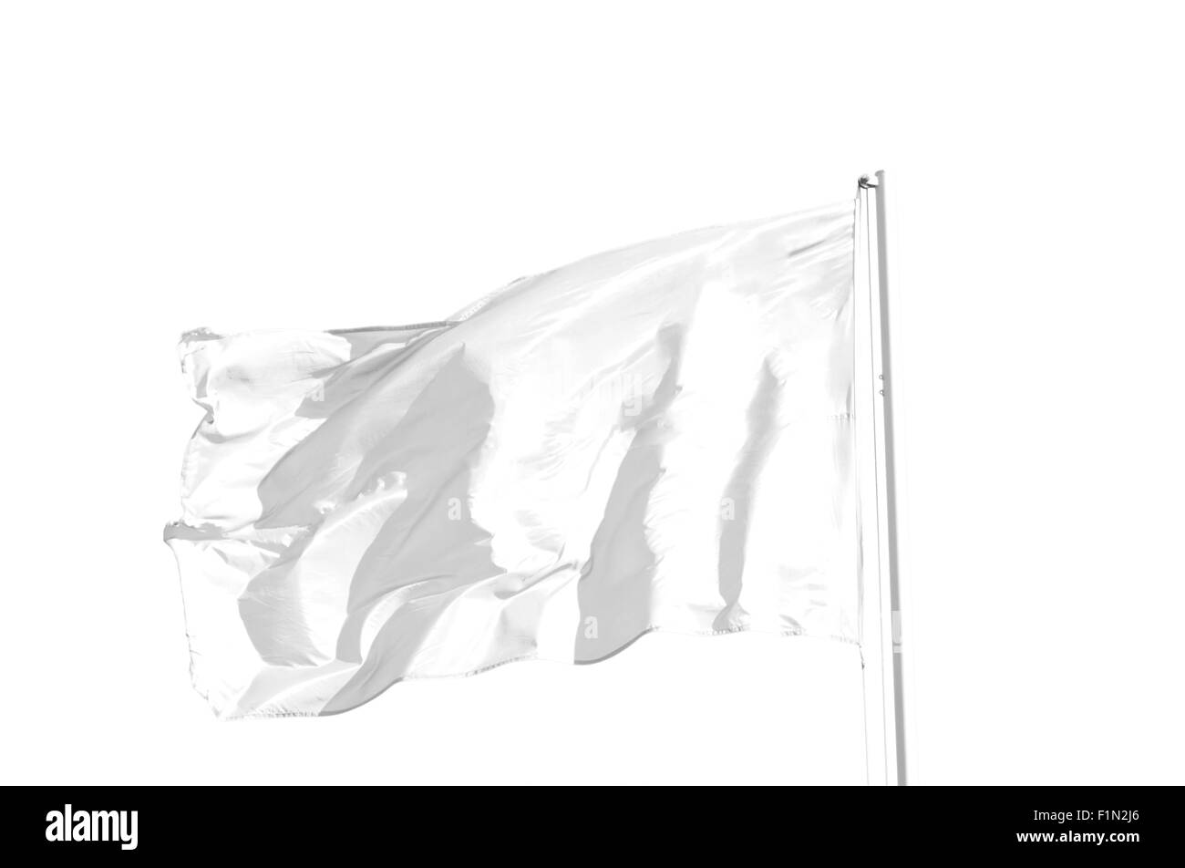 Blank white flag, isolato su sfondo bianco. Foto Stock
