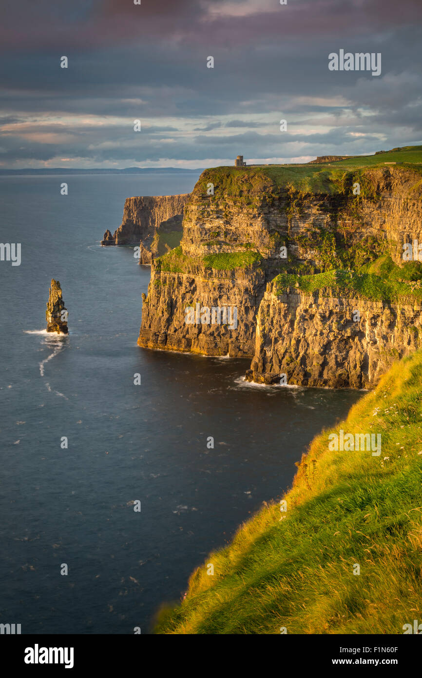 Impostazione della luce solare su scogliere di Moher , County Clare, Repubblica di Irlanda Foto Stock
