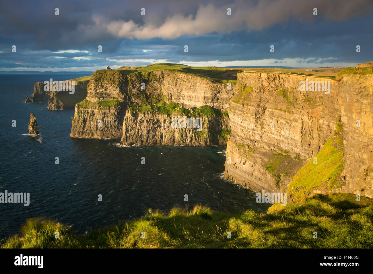 Impostazione della luce solare su scogliere di Moher , County Clare, Repubblica di Irlanda Foto Stock