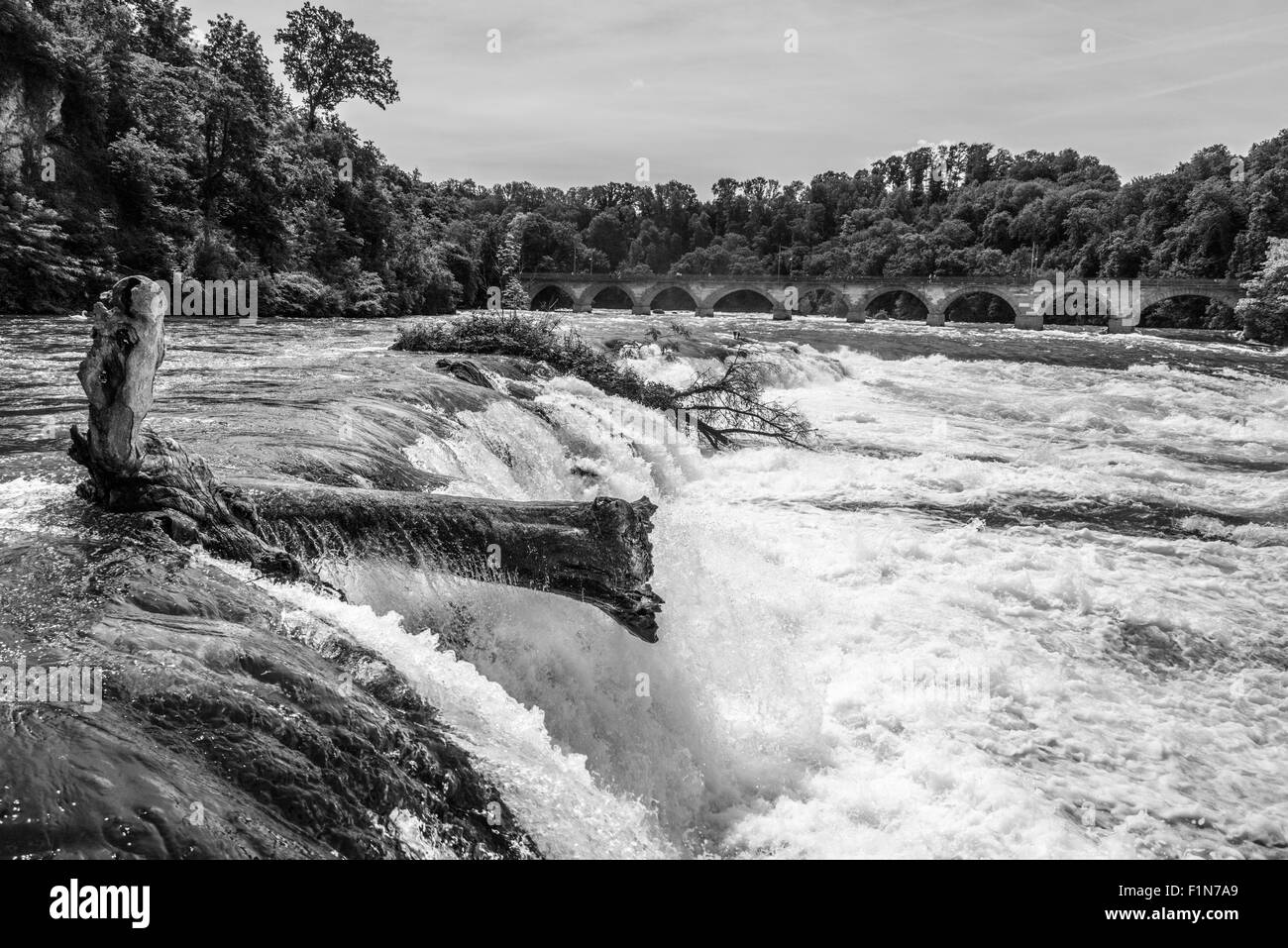 Vedute delle Cascate del Reno, Svizzera Foto Stock