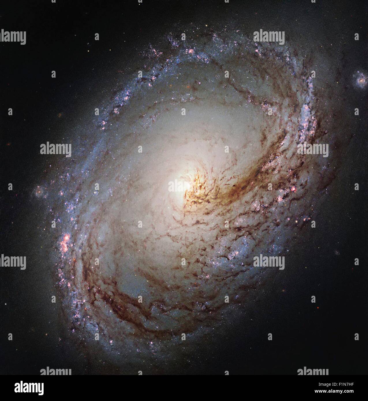 Telescopio Spaziale Hubble immagine mostra Messier 96, una galassia spirale appena oltre 35 milioni di anni luce di distanza nella costellazione del Leone. La galassia assomiglia a un gigantesco vortice di gas incandescenti, increspata con polvere scura che volute all'interno verso il nucleo. Foto Stock