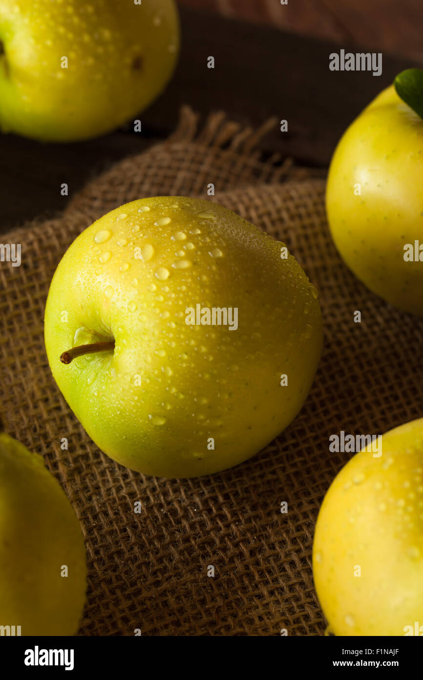 Materie organiche Golden Delicious pronto a mangiare Foto Stock