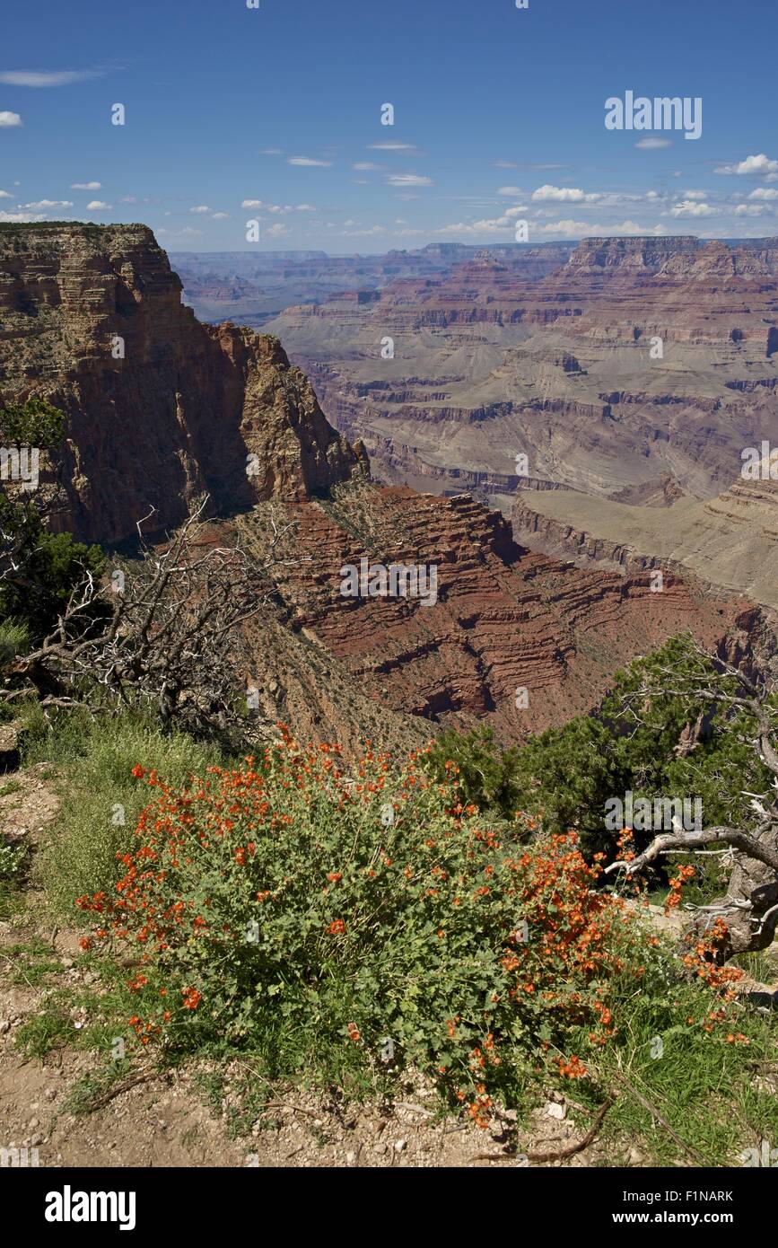 Grand Canyon scenario. Mondo famoso Canyon in Arizona, Stati Uniti. Parco Nazionale del Grand Canyon. Natura raccolta di fotografie. Foto Stock