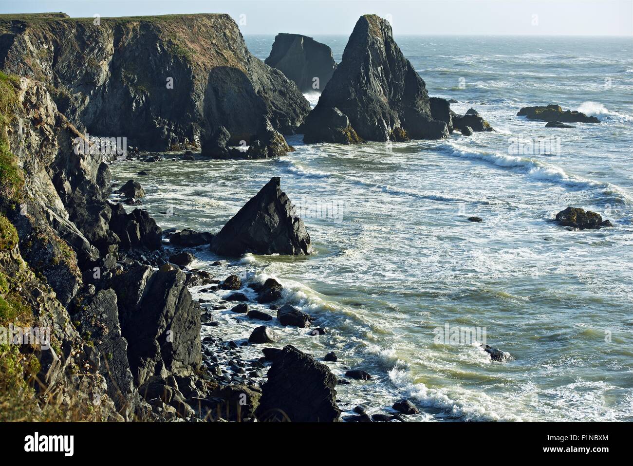 Rocky Northern California Coast - Oceano Pacifico. California natura raccolta di fotografie. Foto Stock