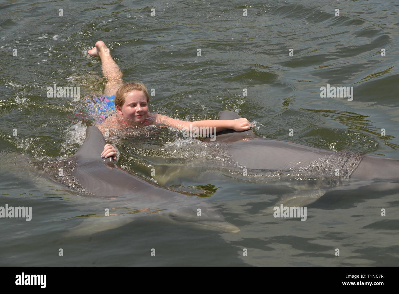 I partecipanti al Dolphin trainer programma presso il Centro Ricerca Delfini in Grassy Key Florida USA Foto Stock