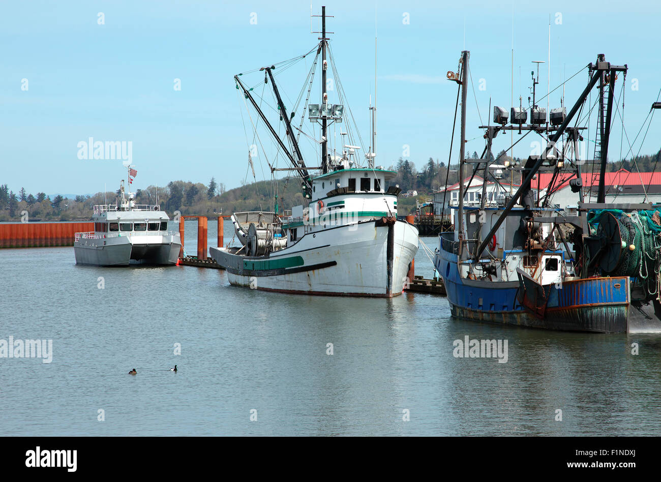 Barche da pesca in alluminio e un passeggero barca ancorata in un porto turistico, AStoria Oregon. Foto Stock