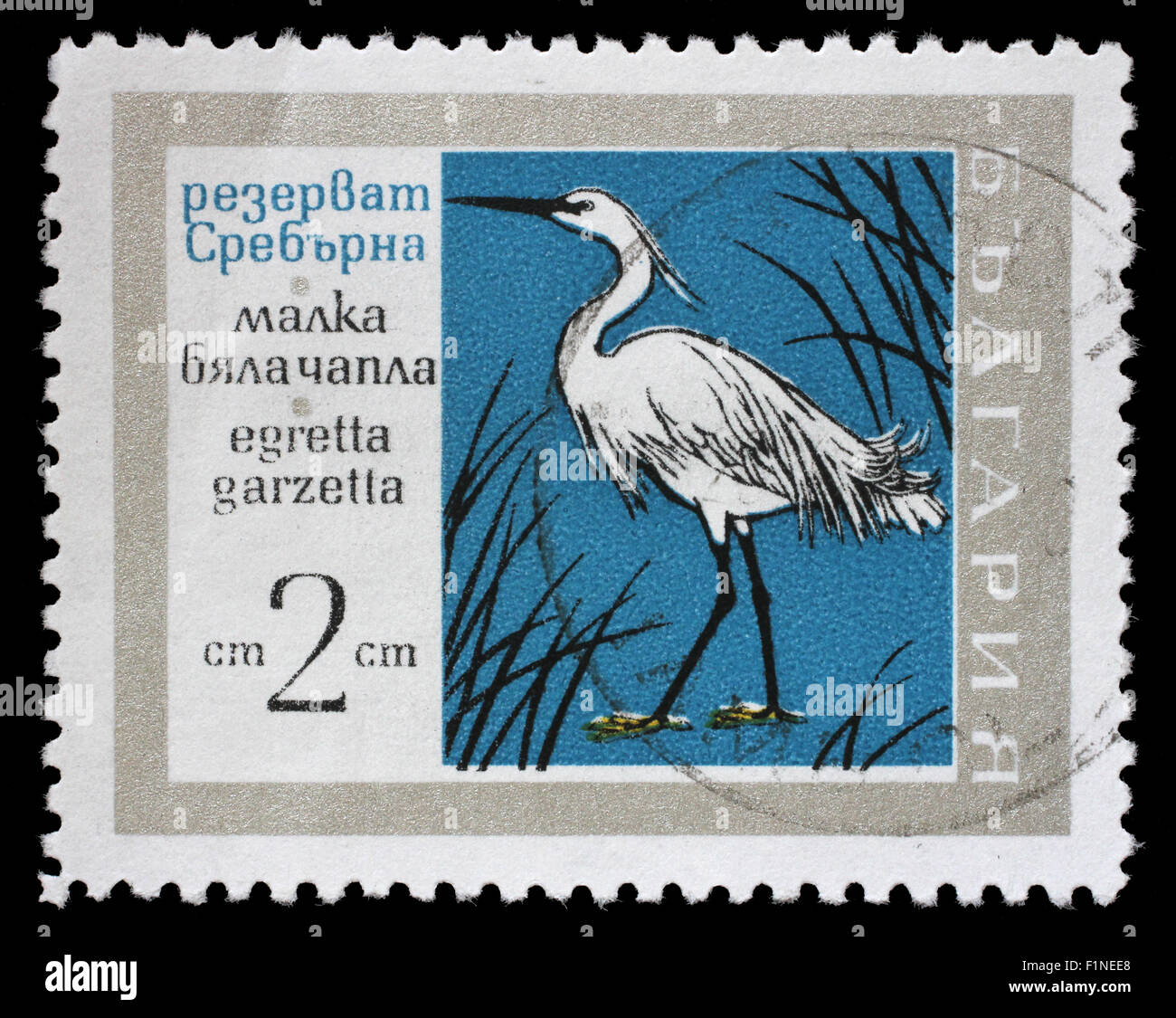 Timbro stampato in Bulgaria mostra Garzetta uccello, circa 1960 Foto Stock