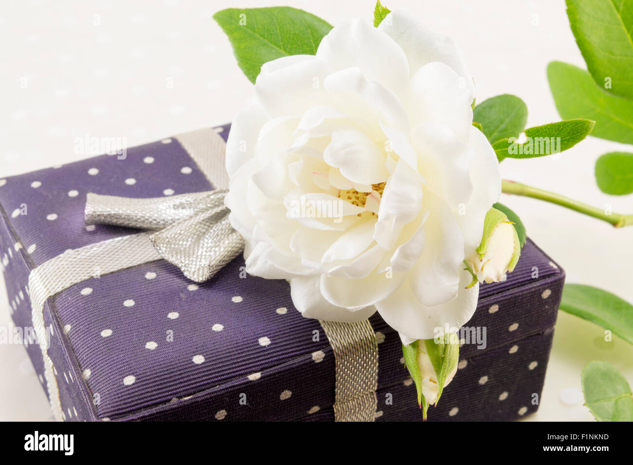 Rosa Bianca su un presente box decorato con nastro Foto Stock