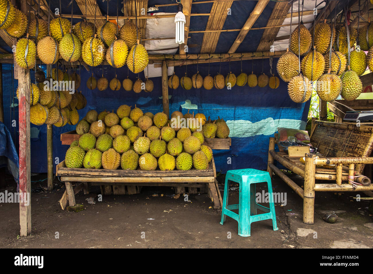 Frutta Durian street market stall, Sumatra, Indonesia. Durian considerata da molte persone nel sud-est asiatico come il "Re della Frutta" Foto Stock
