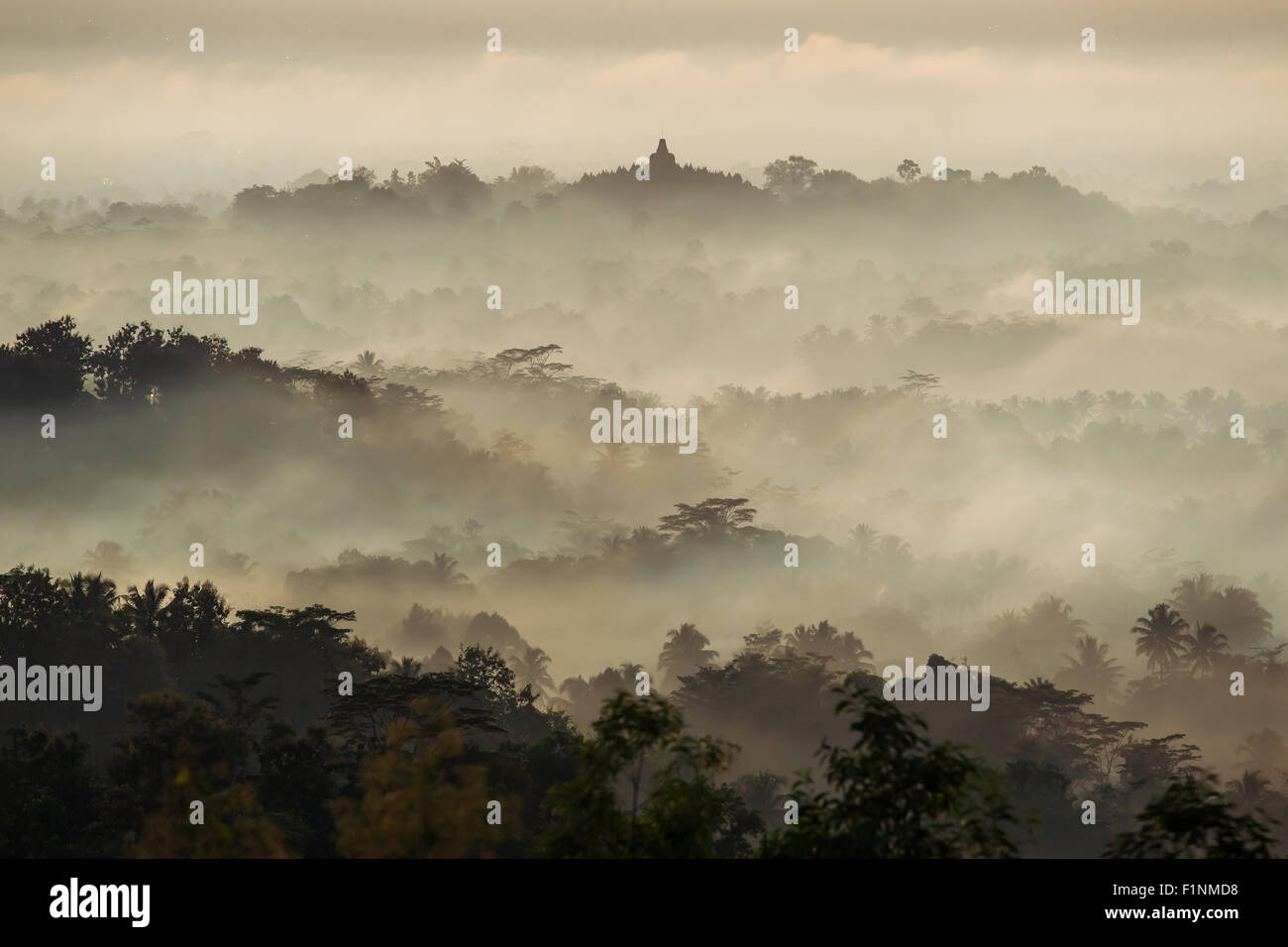Colorato tramonto sul tempio di Borobudur in misty giungla foresta, Indoneisa Foto Stock
