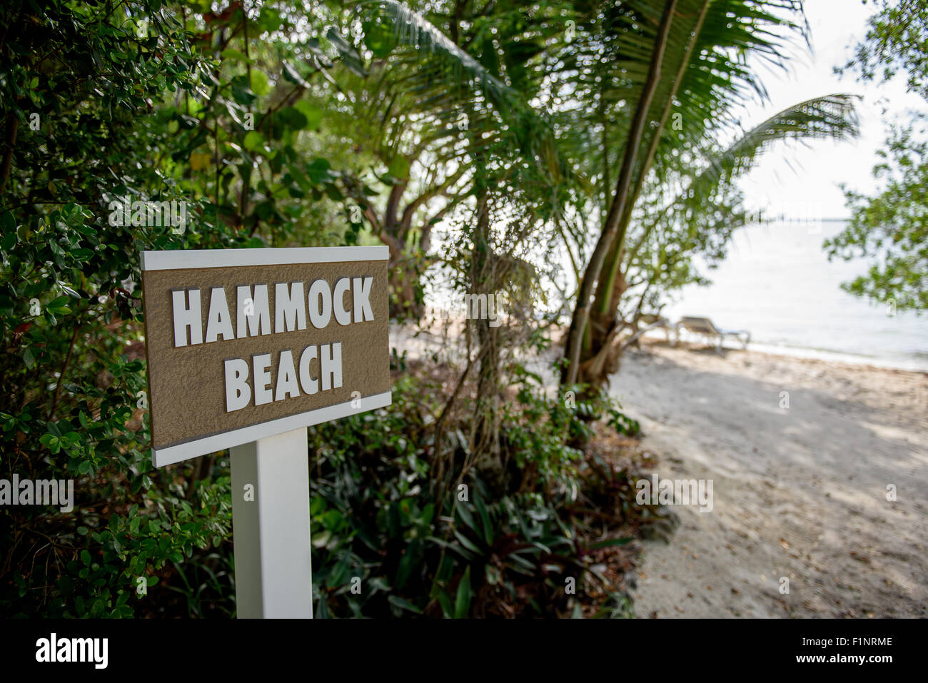 Amaca segno sulla spiaggia Foto Stock