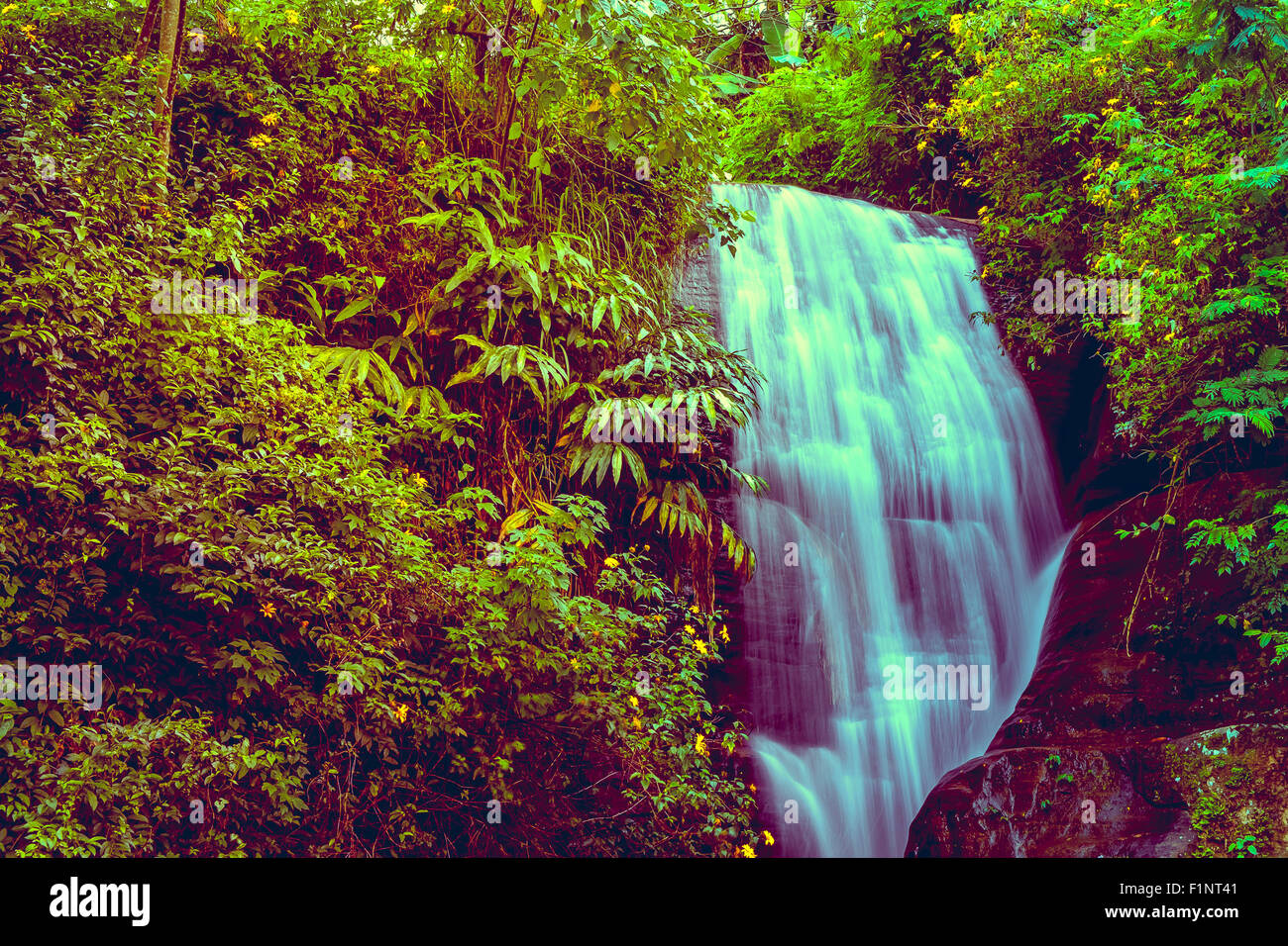 Cascata nella giungla Foto Stock