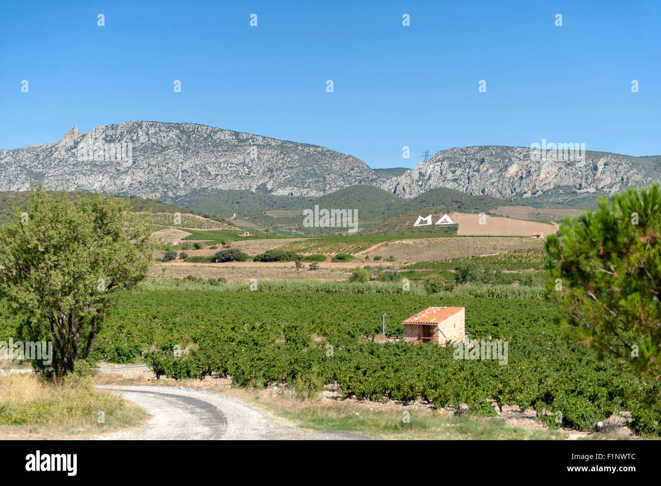 Paese di avvolgimento su strada il suo modo di Mas Amiel, un leggendario Maury cantina nella valle Agly, Côtes du Roussillon, Francia meridionale Foto Stock