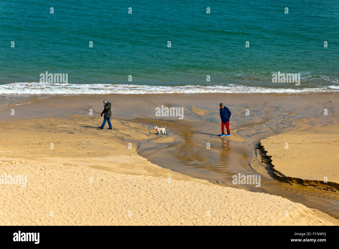 La mattina presto dog walkers sulla spiaggia di Carbis Bay, Cornwall, Regno Unito Foto Stock