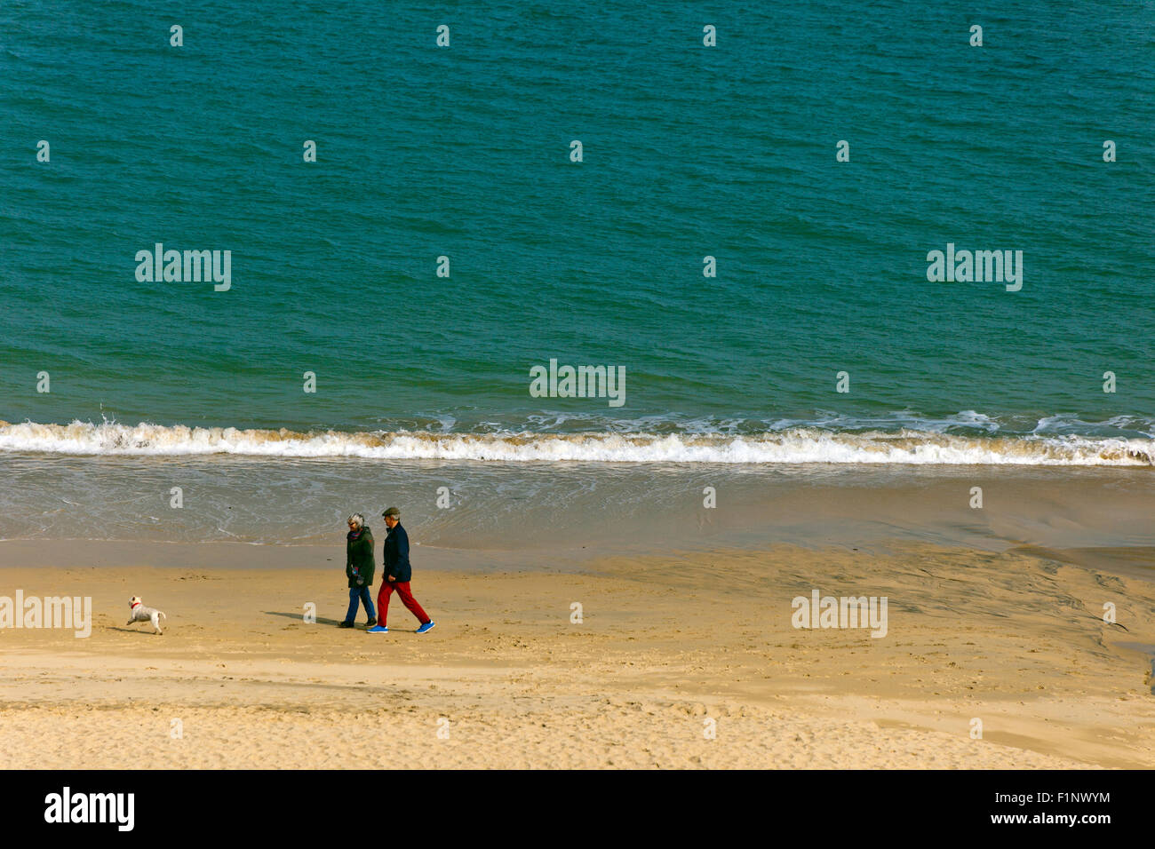La mattina presto dog walkers sulla spiaggia di Carbis Bay, Cornwall, Regno Unito Foto Stock