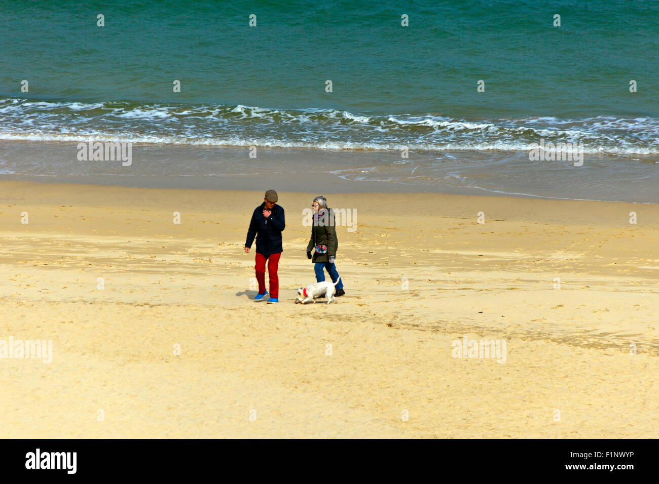La mattina presto dog walkers sulla spiaggia di Carbis Bay, Cornwall, Regno Unito Foto Stock