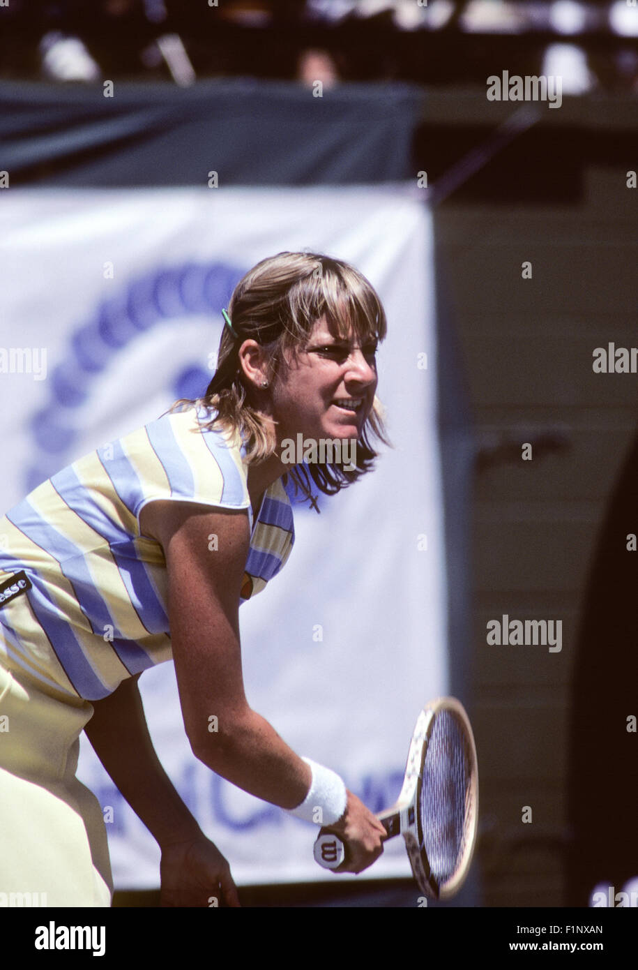 Chris Evert in azione al Clairol Crown torneo di tennis presso la costa Resort di Carlsbad, in California nel mese di aprile 1981. Foto Stock