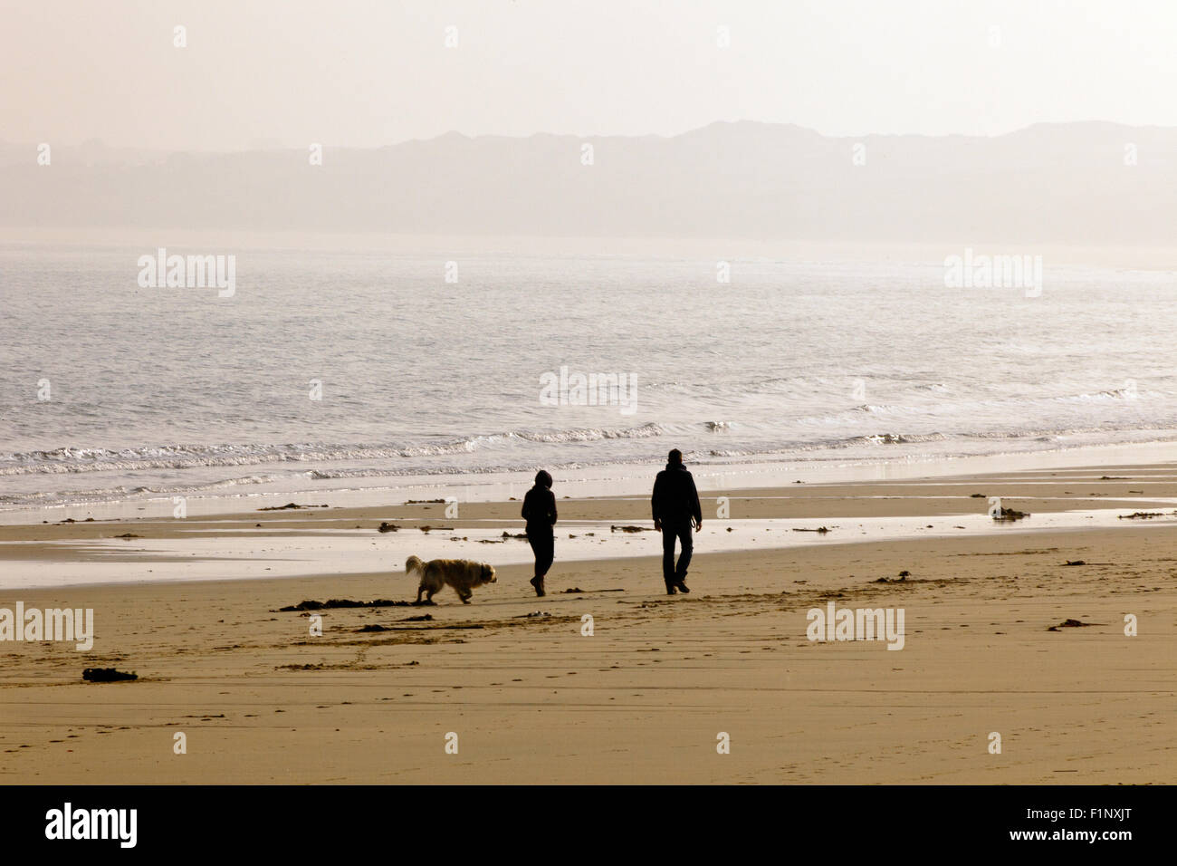 La mattina presto dog walkers sulla spiaggia di Carbis Bay, Cornwall, Regno Unito Foto Stock