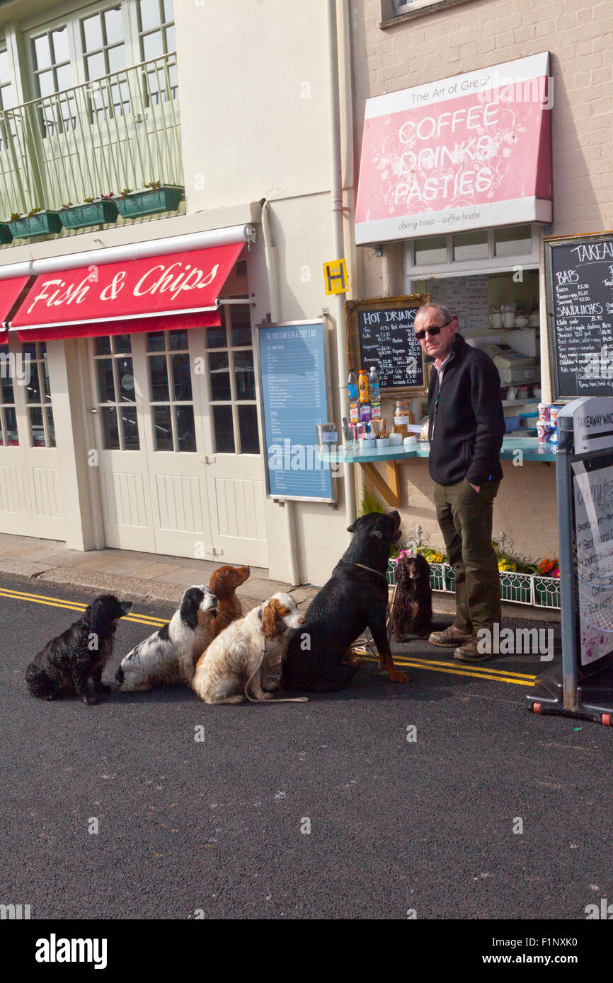 Un dog walker e il suo attento coda di oneri per il servizio in un cafe a Padstow, Cornwall, Regno Unito Foto Stock