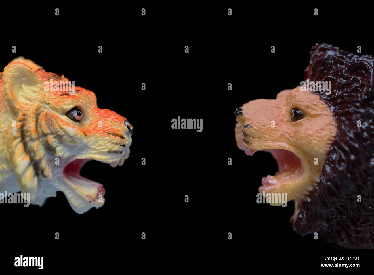 Un piccolo giocattolo lion faccia a faccia con un piccolo giocattolo lion con forti espressioni aggressive ioslated su uno sfondo nero. Foto Stock