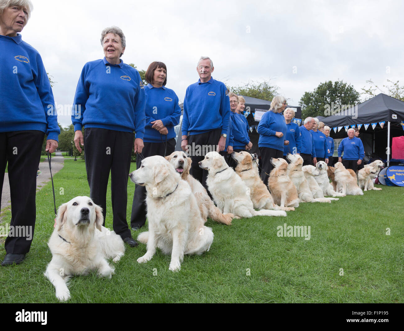 Londra, Regno Unito. Il 5 settembre 2015. Il sud del Golden Retriever Team di visualizzazione. PupAid 2015 Celebrity vet Marc Abramo è un giorno di festa per i proprietari di cani e gli appassionati di pooch spera di aumentare la consapevolezza del cucciolo di agricoltura, che è la produzione di massa di cuccioli per guadagno commerciale e comporta talvolta gli animali che vivono in condizioni terribili. La manifestazione si svolge su Primrose Hill. Foto: Nick Savage/Alamy Live News Foto Stock Londra, Regno Unito. Il 5 settembre 2015. Il sud del Golden Retriever Team di visualizzazione. PupAid 2015 Celebrity vet Marc Abramo è un giorno di festa per i proprietari di cani e gli appassionati di pooch spera di aumentare la consapevolezza del cucciolo di agricoltura, che è la produzione di massa di cuccioli per guadagno commerciale e comporta talvolta gli animali che vivono in condizioni terribili. La manifestazione si svolge su Primrose Hill. Foto: Nick Savage/Alamy Live News Foto Stock