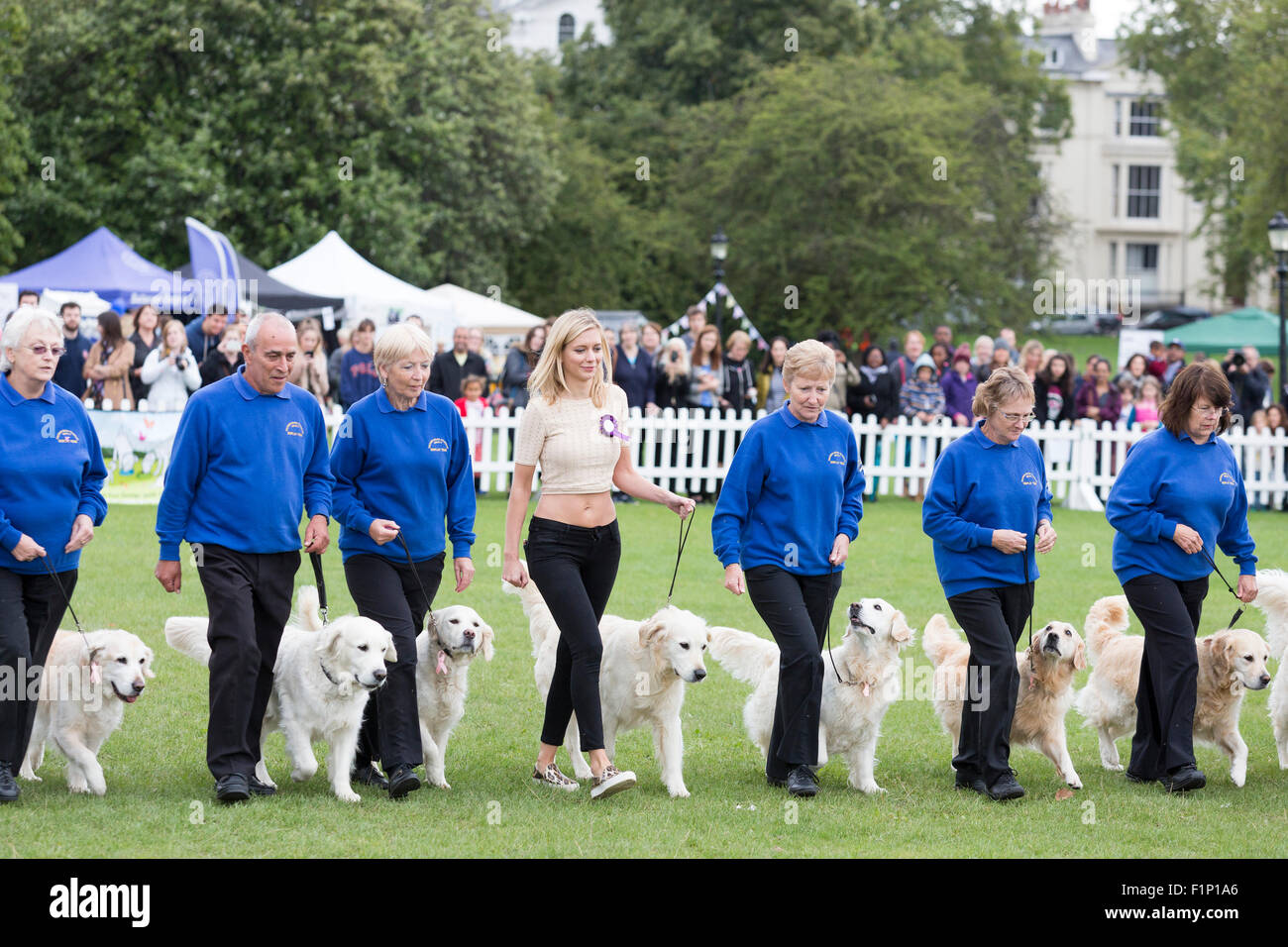 Londra, Regno Unito. Il 5 settembre 2015. Rachel Riley esegue con la sponda meridionale del Golden Retriever Team di visualizzazione. PupAid 2015 Celebrity vet Marc Abramo è un giorno di festa per i proprietari di cani e gli appassionati di pooch spera di aumentare la consapevolezza del cucciolo di agricoltura, che è la produzione di massa di cuccioli per guadagno commerciale e comporta talvolta gli animali che vivono in condizioni terribili. La manifestazione si svolge su Primrose Hill. Foto: Nick Savage/Alamy Live News Foto Stock Londra, Regno Unito. Il 5 settembre 2015. Rachel Riley esegue con la sponda meridionale del Golden Retriever Team di visualizzazione. PupAid 2015 Celebrity vet Marc Abramo è un giorno di festa per i proprietari di cani e gli appassionati di pooch spera di aumentare la consapevolezza del cucciolo di agricoltura, che è la produzione di massa di cuccioli per guadagno commerciale e comporta talvolta gli animali che vivono in condizioni terribili. La manifestazione si svolge su Primrose Hill. Foto: Nick Savage/Alamy Live News Foto Stock