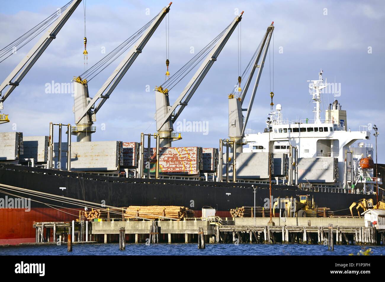 Commerciale Cargo Nave cargo nave nel porto. Trasporto merci tema. Foto Stock