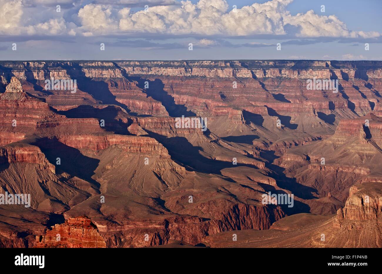 New Scenic 5 posti Grand Canyon - famosa in tutto il mondo e il Più Grande Canyon. In Arizona, Stati Uniti d'America. Natura raccolta di fotografie. Foto Stock