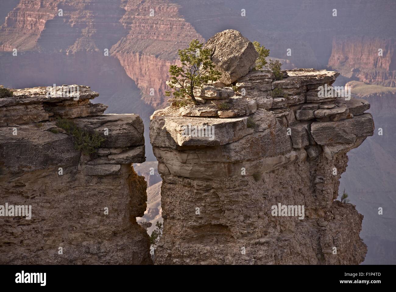 Rock e il Canyon. Il Grand Canyon di roccia solitaria Closeup. In Arizona, Stati Uniti d'America. Natura raccolta di fotografie. Foto Stock