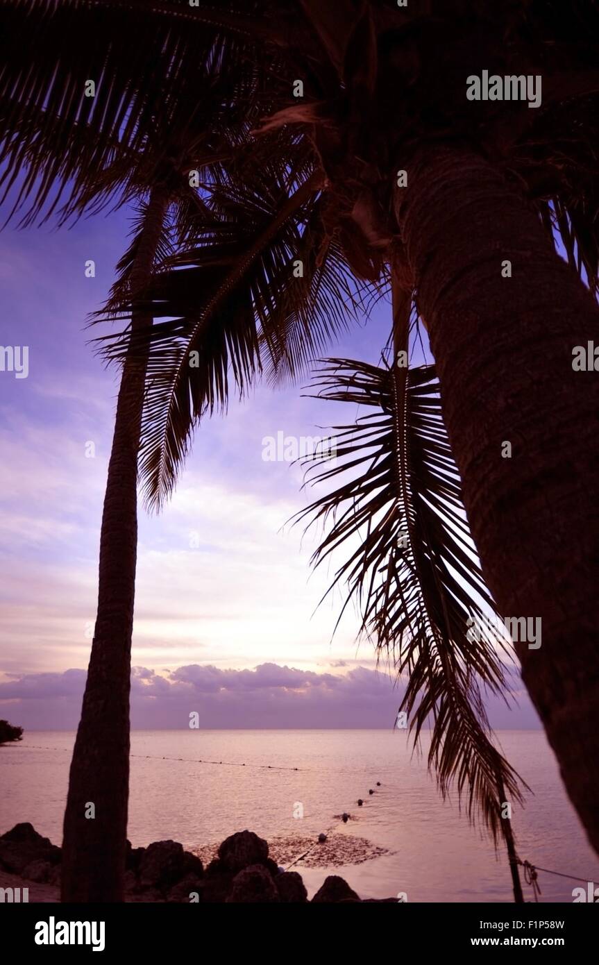 Palm Beach. Sunrise presso la spiaggia. Calma e silenziosa. Bellissimi paesaggi del sud della Florida, Stati Uniti d'America. Florida Keys. Foto verticale. Foto Stock