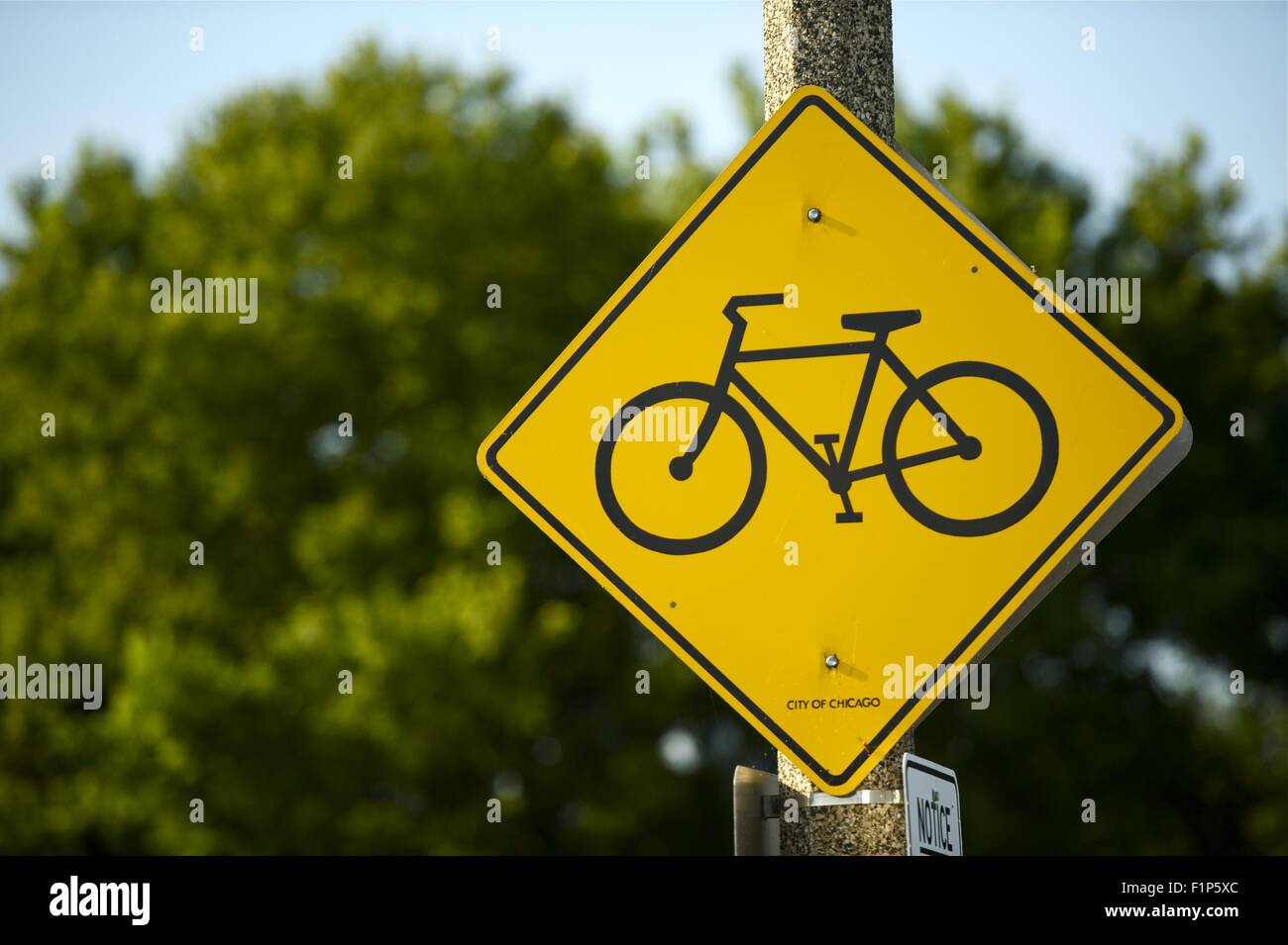 Giallo percorso bici strada segno - Città di Chicago. La foto in orizzontale. Foto Stock
