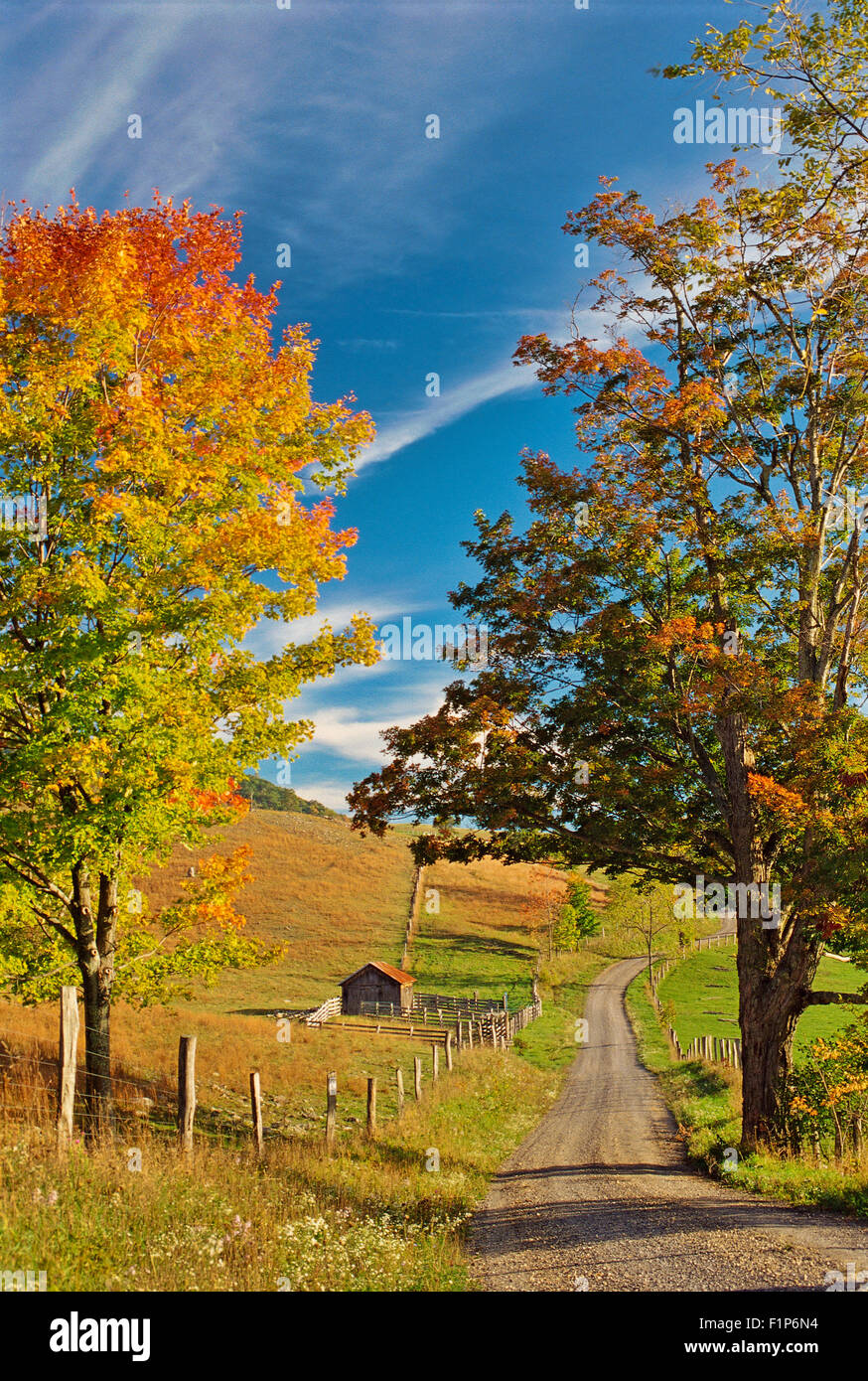 Western Highland County, Virginia, Stati Uniti d'America Foto Stock