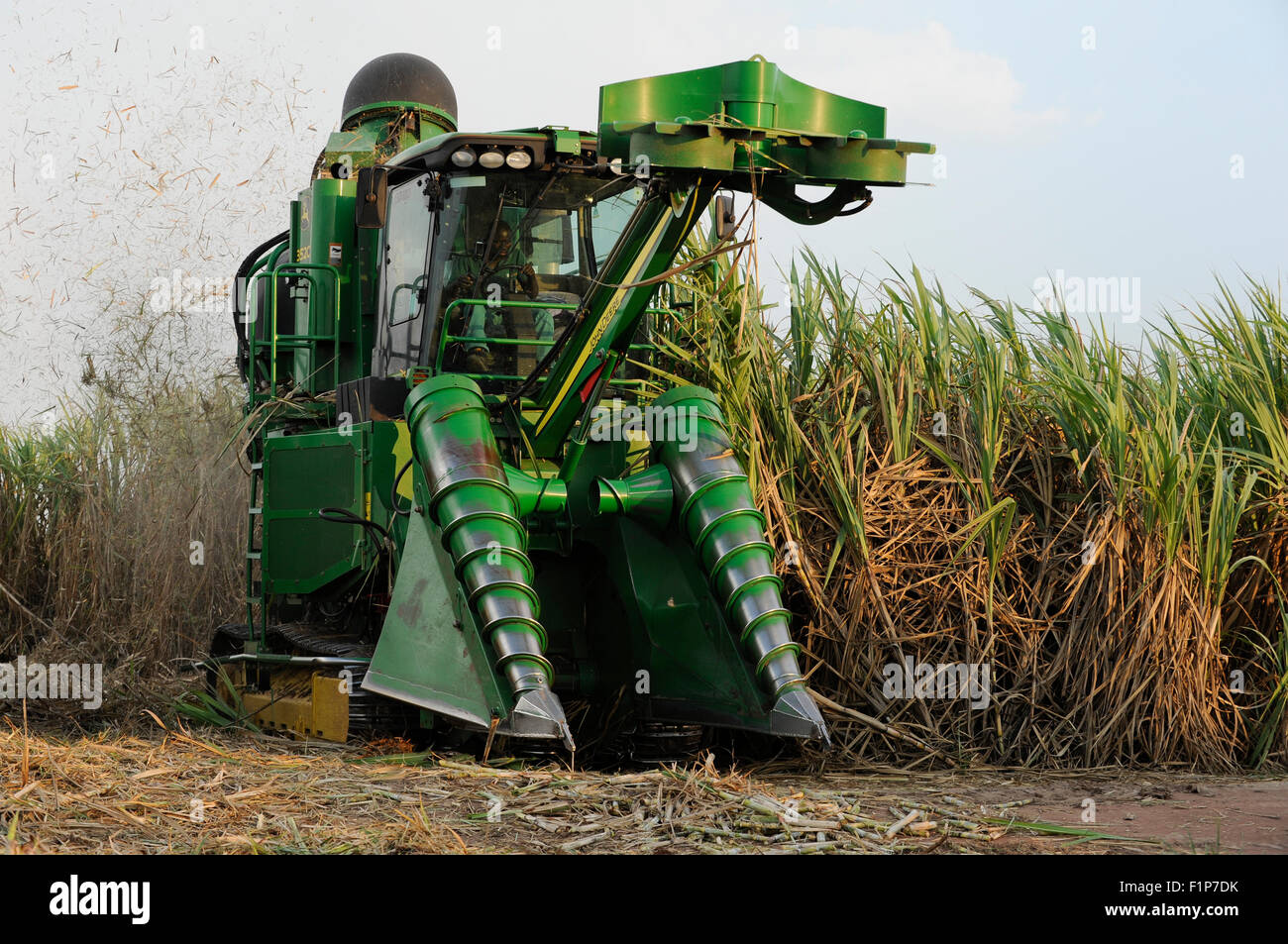 ANGOLA Malange , PAC agroindustriale Pòlo de Capanda, Biocom progetto joint venture brasiliana Odebrecht Angolian e olio di stato società Sonangol, raccolto di canna da zucchero con la mietitrebbia John Deere Harvester , la canna da zucchero viene trasformato in una propria fabbrica di zucchero per la produzione di zucchero o di bioetanolo per il carburante Foto Stock