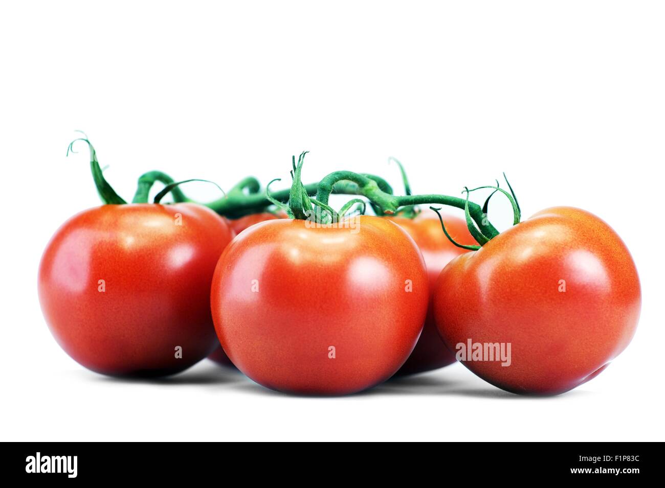 Pomodori isolato su bianco. Freschi pomodori organici su bianco. Industria alimentare Raccolta foto. Studio orizzontale / Foto del piano portapaziente. Foto Stock