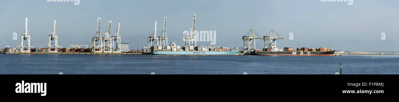 Deltaport terminal container del panorama, Roberts Bank, Delta, British Columbia Foto Stock