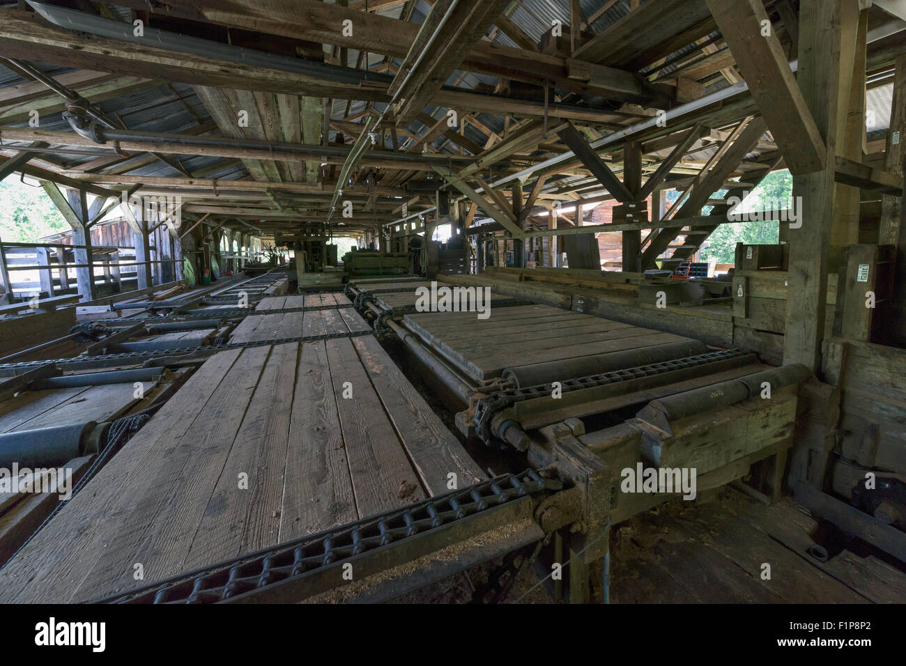 Interno di McLean steam-powered mill, Alberni Valley, British Columbia Foto Stock