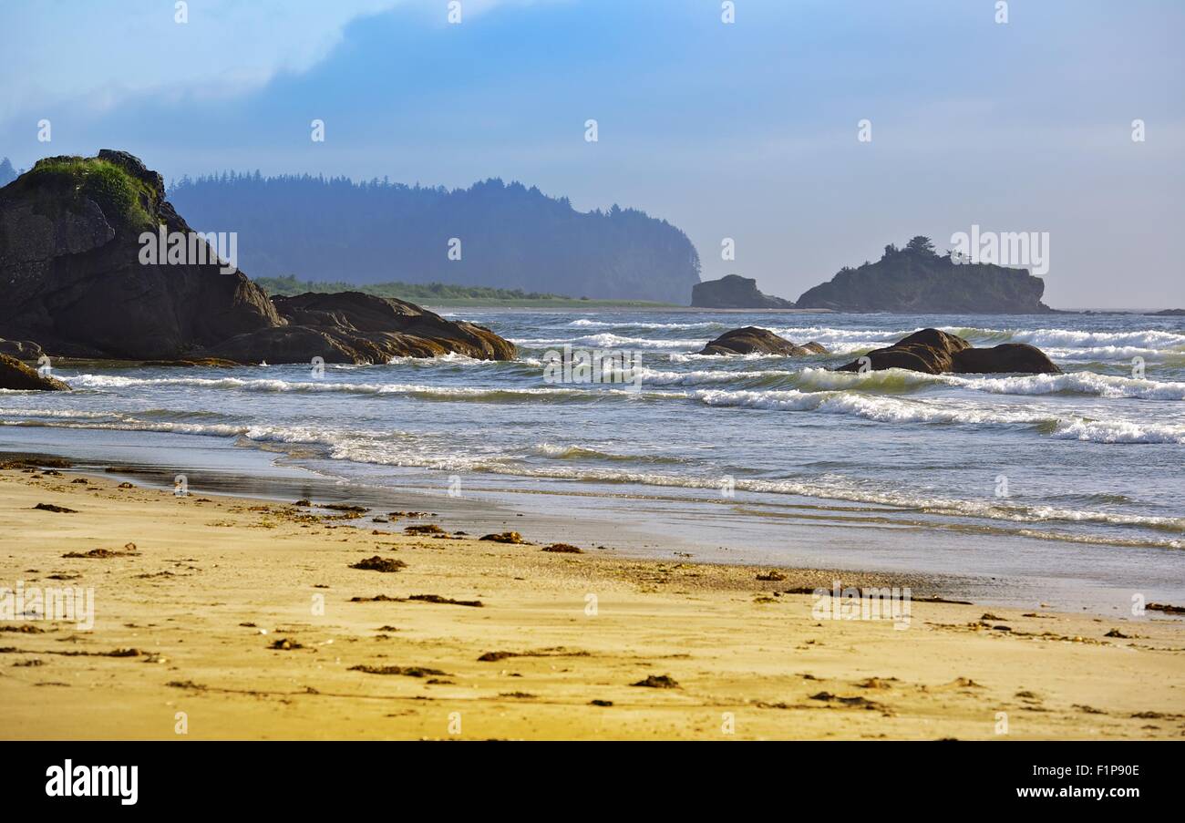 Rocciosa costa del Pacifico - Stato di Washington sulla costa del Pacifico. Natura raccolta di fotografie. Foto Stock