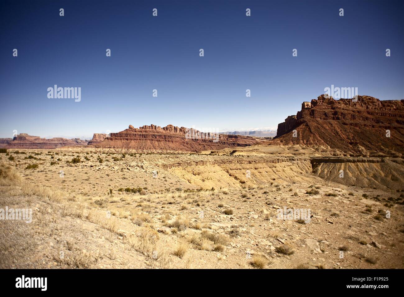 Deserto dello Utah e rocce. Utah, USA il paesaggio. Natura raccolta di fotografie. Blu chiaro cielo Utahs Foto Stock