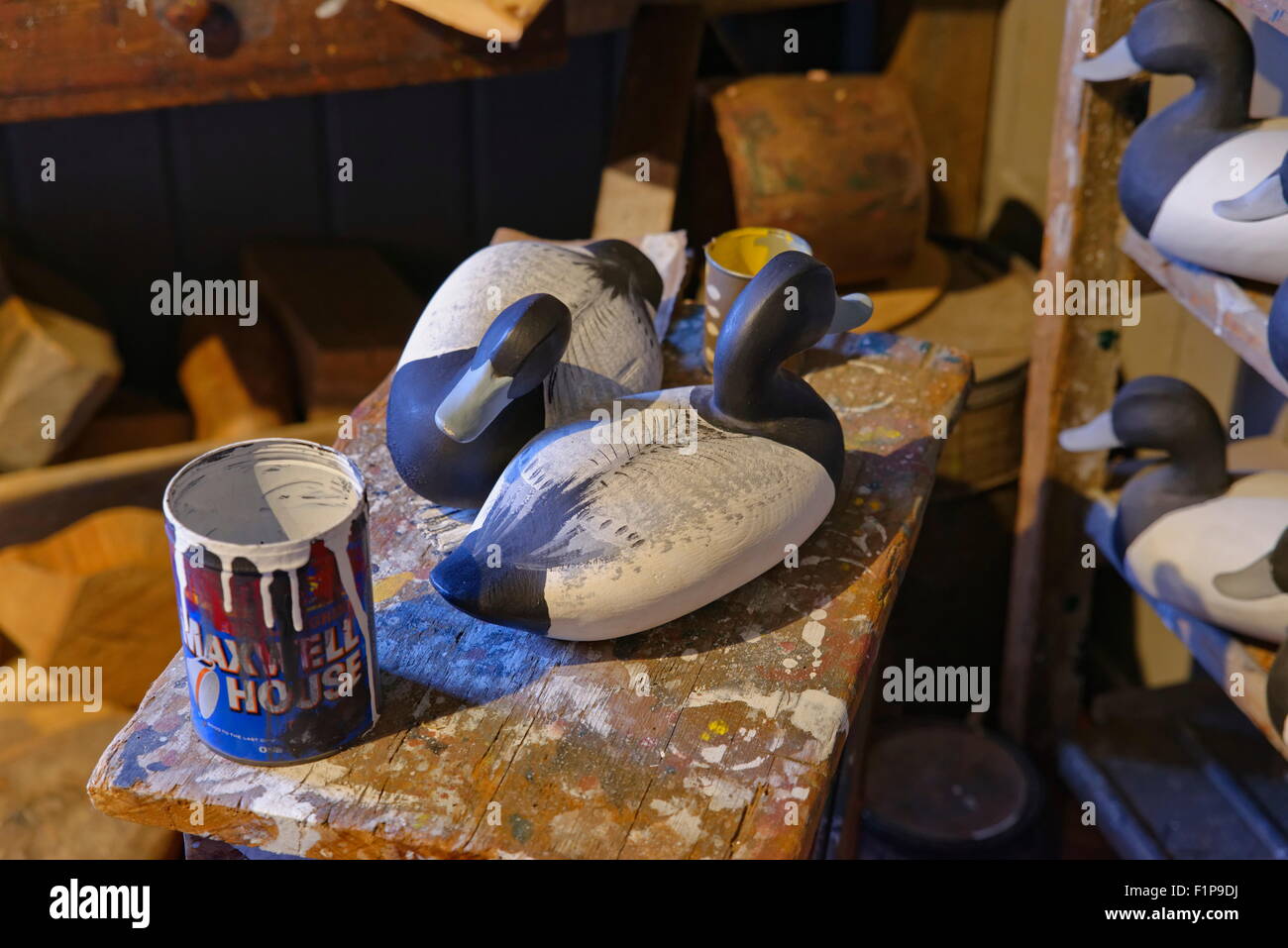 Anatra non finita deboys nel laboratorio Ward Brothers in mostra al Chesapeake Bay Maritime Museum a St. Michaels, MD. Foto Stock