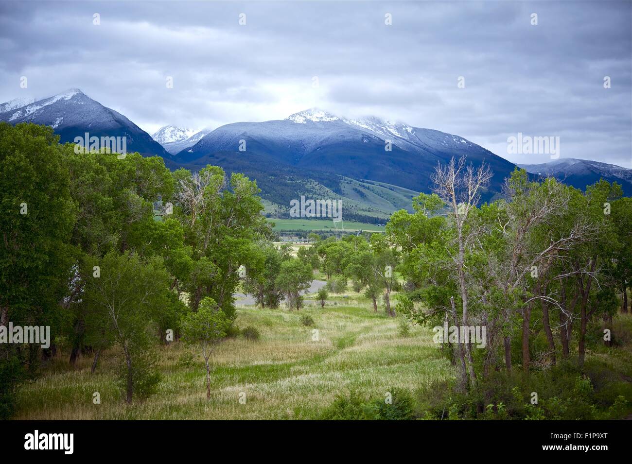 Livingston Montana paesaggio. Inizio estate - cime innevate. Montana Raccolta foto Foto Stock