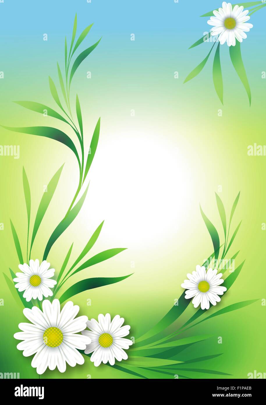 Sfondo floreale illustrazione - Luce verde e blu con sfondo bianco margherite. Floral Background verticale illustrazione. Foto Stock